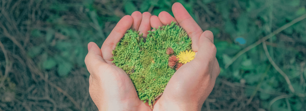 Comment intégrer le développement durable à vos activités en 4 étapes ?